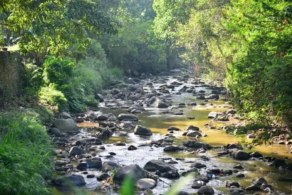 Sungai Cikapundung Kampung Cibarani Kota Bandung (Foto: Dokumen River Clean up)