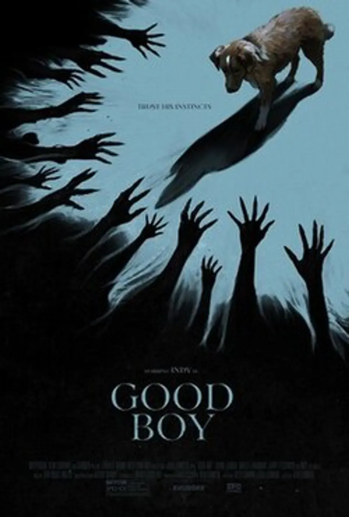 Poster Good Boy 2025