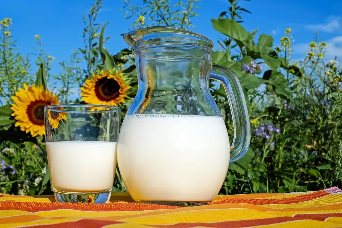 Ilustrasi Susu Murni (Foto: Pixabay)