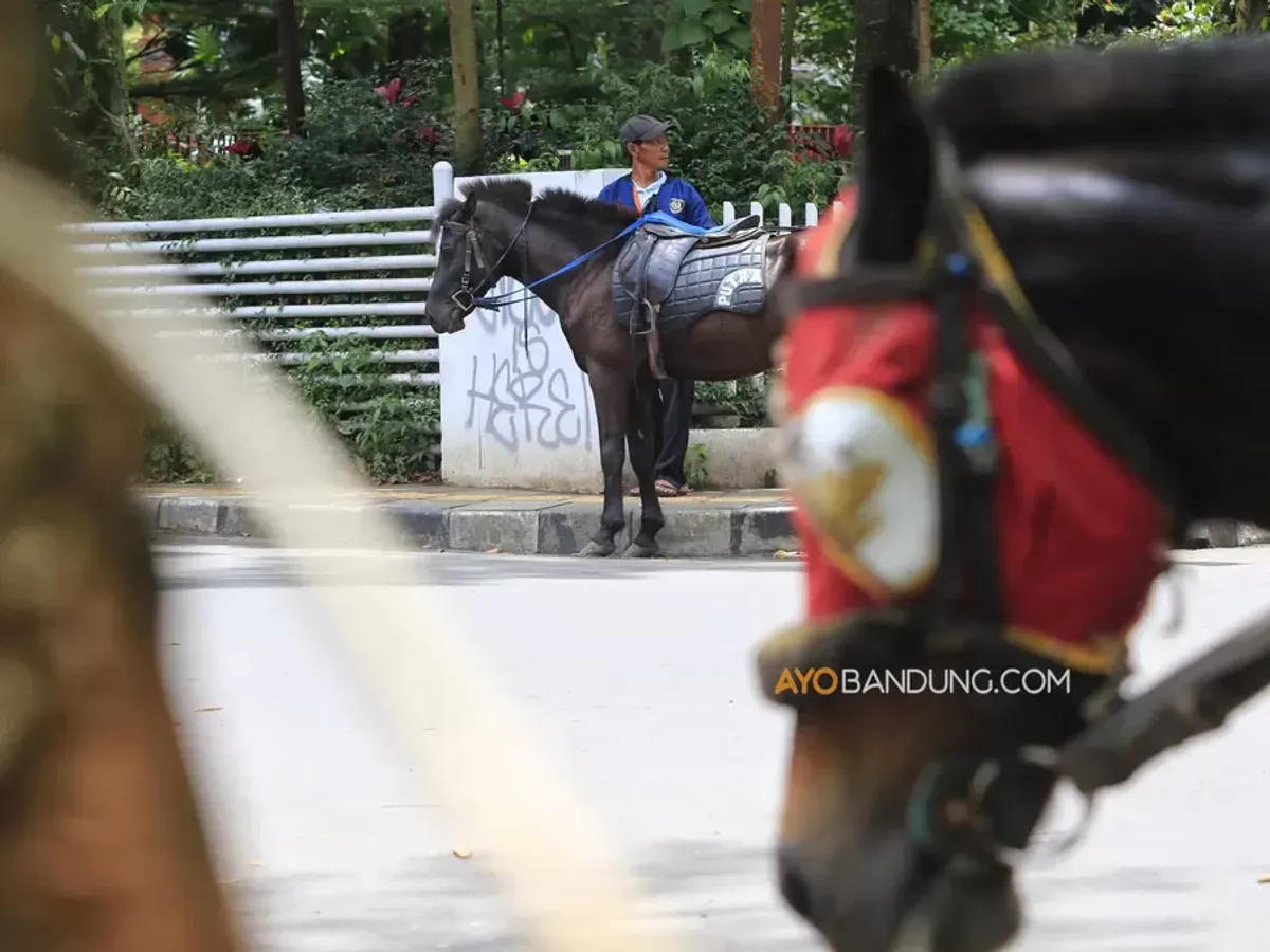 Wisata kuda tunggang di kawasan Jalan Cilaki, Kota Bandung, Rabu 25 Maret 2026. (Sumber: Ayobandung.com | Foto: Irfan Al-Faritsi)