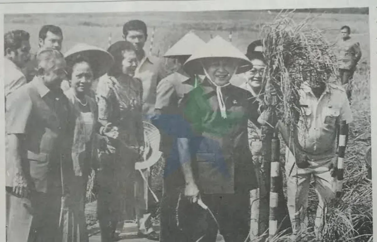 Presiden Soeharto panen padi perdana di Desa Jatimulya, Kec. Pusakanegara, Kabupaten Subang, Jawa Barat (8/7/1987). (Sumber: Perpusnas | Foto: Perpusnas)