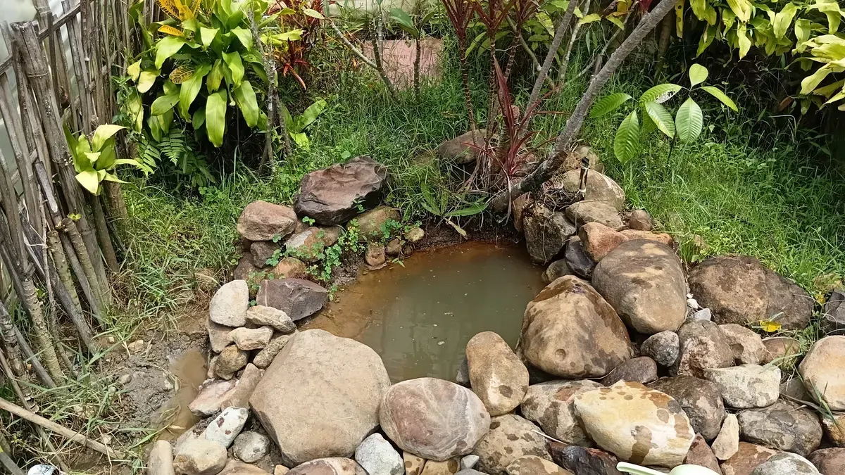 Kondisi terkini situs mata air asin purba (connate water) di Desa Ciuyah, Kecamatan Cisarua, Kabupaten Sumedang, Jawa Barat, saat didokumentasikan pada 28 Maret 2026 pukul 10.50 WIB. (Sumber: Dokumentasi Pribadi | Foto: Fatia Siti Biladi)