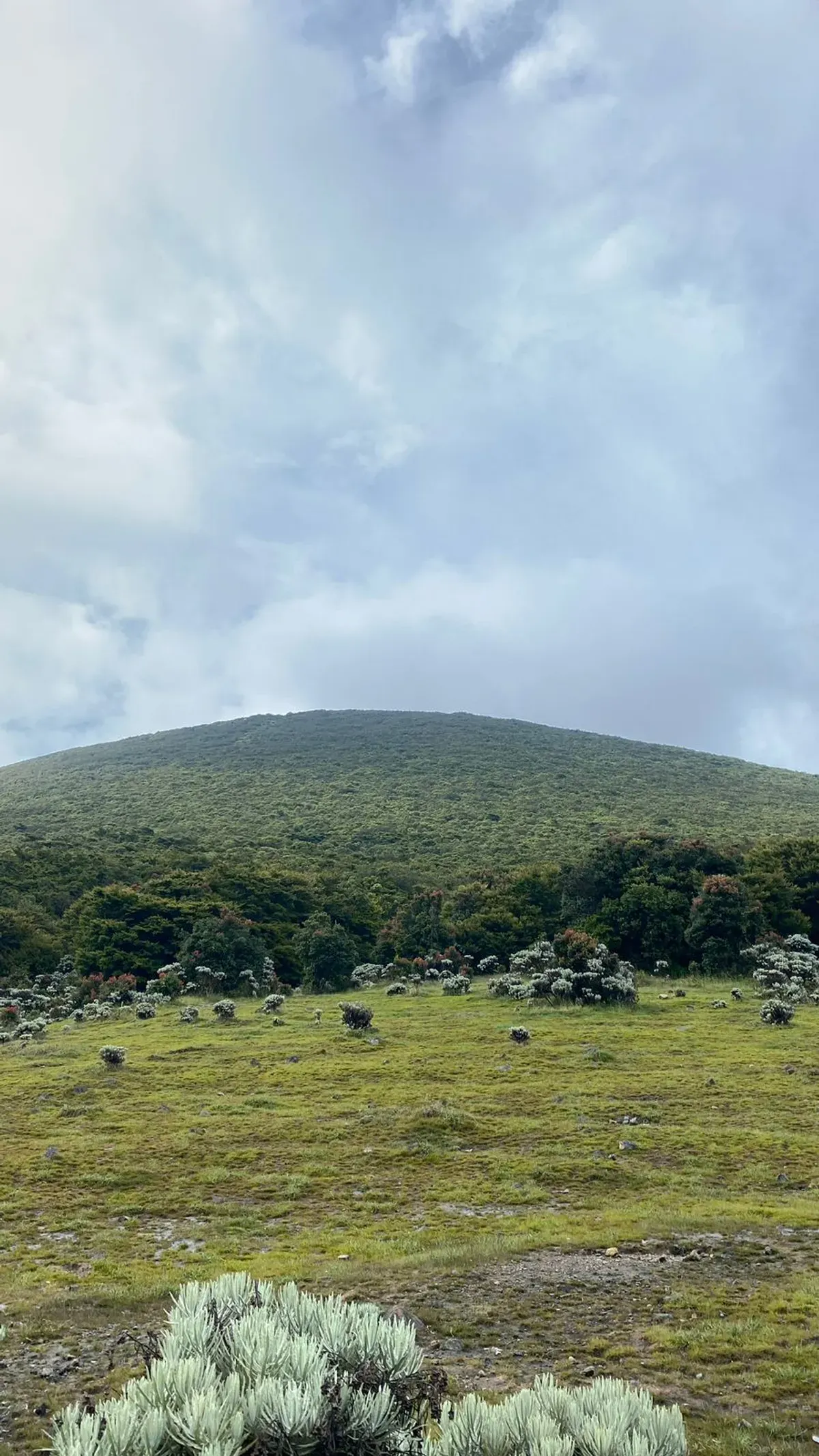 Pemandangan Indah Surya Kencana di Gunung Gede. (Sumber: Dokumentasi Pribadi | Foto: Moch Shezar Rachman)