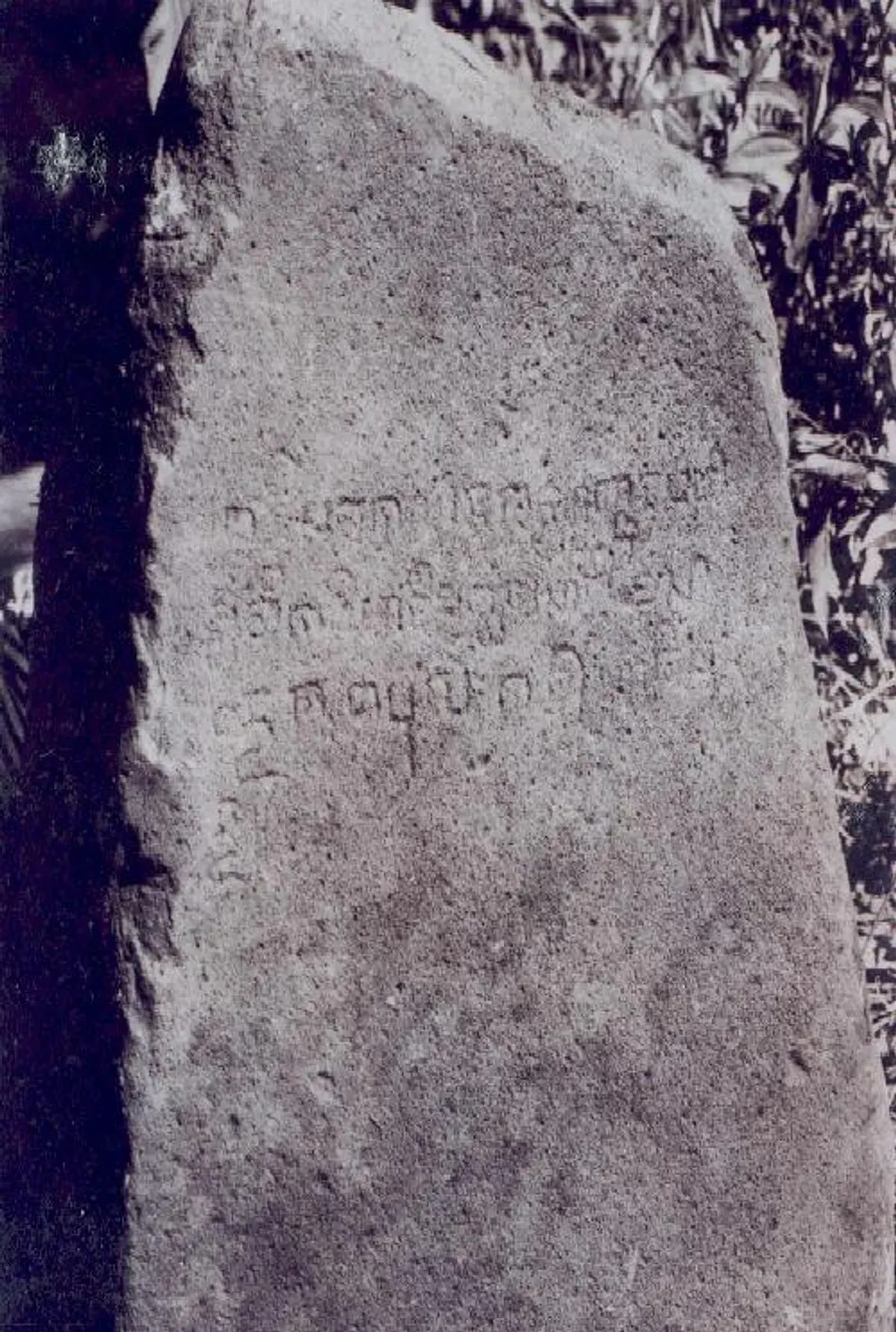 Prasasti Kebon Kopi II/Prasasti Pasir Muara. (Sumber: Leiden Library)