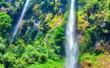 Di Balik Deru Air dan Hening Hutan, Menyusuri Keanggunan Curug Cileat 