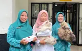 Gaya Hidup Cat Parents Bandung yang Memulai Perlindungan dari Rumah