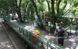 Perlindungan Pohon: Mengajak Generasi Muda Kota Bandung Cinta Lingkungan