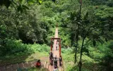 Merawat Hutan, Menjaga Warisan Peradaban di Jawa Barat