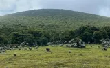 Menilik Awal Pendakian Gunung Gede