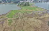 Air Situ Ciburuy Menyusut, Dasar Danau Berusia 1 Abad Ini Perlahan Terbuka