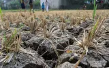 Ketika Air Tinggal Sepercik