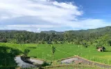 Dulu Pakai Ritual, Kini Pakai Kimia: Perubahan Praktik Bertani di Desa Pamoyanan