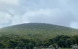 Menilik Awal Pendakian Gunung Gede