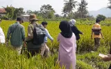 Tantangan Mekanisasi dan Program Penyuluhan untuk Petani Muda