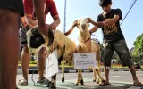 Terima Kasih untuk yang Berkurban   