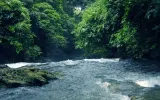 Hutan dalam Toponim, Indah, Damai, dan Menyejahterakan