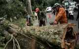 Siaga pada Musim Peralihan