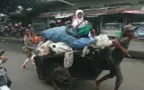 Manusia Gerobak, Manusia Statistik, Manusia Bandung