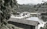 200 Ikon Bandung #5: Pemandian Tjihampelas, Kolam Renang Pertama di Indonesia