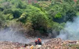 Kebakaran Cihanja Punclut dan Pentingnya Penanganan Lingkungan Berkelanjutan