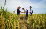 Pendidikan Empati dalam Isu Sosial