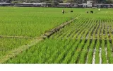 Mengapa Hari Tani dan Reforma Agraria Penting bagi Warga Bandung?