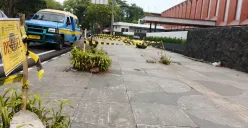 Dari Kasus Penebangan Pohon hingga Persib-Persija, Isu Menarik Pekan Ini untuk Ayo Netizen