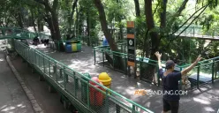 Perlindungan Pohon: Mengajak Generasi Muda Kota Bandung Cinta Lingkungan