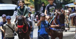 Kota Bandung Masih Menarik Wisatawan? Angka-angka Ini Menceritakannya