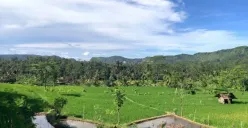 Dulu Pakai Ritual, Kini Pakai Kimia: Perubahan Praktik Bertani di Desa Pamoyanan