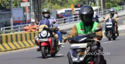 Hayu Mudik?
