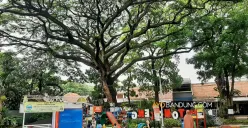 Ruang Terbuka Hijau di Kota Bandung