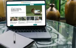 Saatnya Ayobandung.id mengumumkan 10 tulisan terbaik yang tayang di kanal AYO NETIZEN selama bulan Juli 2025. (Sumber: Pexels/Anna Tarazevich)