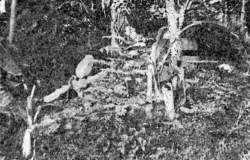 Pertempuran Perlintasan Ciater atau Tjiaterstelling berlangsung dari 5 - 7 Maret 1942 antara pasukan Sekutu terutama Belanda melawan tentara Jepang. (Sumber: Wikimedia)