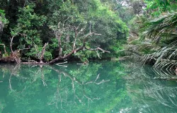Ci Genter di dalam Taman Nasional Ujungkulon saat tenang. (Sumber: Dokumentasi Penulis | Foto: T Bachtiar)
