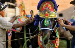 Tradisi Kuda Renggong Sumedang. (Sumber: Skripsi Nurmala Mariam)