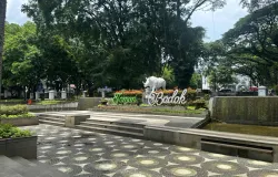 Taman Badak Kota Bandung, Jawa Barat, Jumat 28 November 2025. (Sumber: Dokumentasi Penulis | Foto: Wan Maulida Kusuma Syazci)
