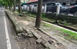 Salah satu keadaan guiding block yang terputus, rusak bahkan tertutup pohon di trotoar Jl. Gudang Utara, Kecamatan Sumur Bandung, Kota Bandung (3/12/25) (Foto: Fasha Nadira Syakir)
