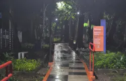 Lampu taman malam hari yang menerangi jalur pejalan kaki menunjukkan suasana sepi setelah hujan mengguyur Taman Lansia pada Rabu, 3 Desember 2025. (Sumber: Dokumentasi Penulis | Foto: Hilyatul Auliya)