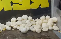 Cimol. (Sumber: Wikimedia Commons | Foto: AWG97)