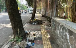 Kondisi trotoar di kawasan Jalan Buah Batu terlihat akar pohon dan tumpukan sampah yang  menghalangi  akses pejalan kaki, Jumat (05 November 2025). (Sumber: Dok.Pribadi)