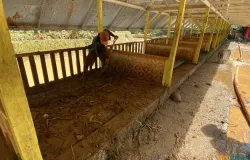 Seorang pekerja sedang membersihkan wisata kuliner Lembah Curugan Gunung Putri yang diterjang banjir bandang, pada Kamis 4 Desember 2025. (Sumber: ayobandung.id | Foto: Restu Nugraha Sauqi)