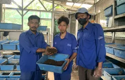 Pengelola Rumah Maggot di Jl. Babakan Jati RT 06 RW 08 Kelurahan Binong, Kecamatan Batununggal, Kota Bandung. Senin, 8 Desember, 2025. (Sumber: ayobandung.id | Foto: Toni Hermawan)