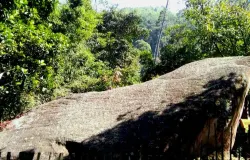 Situs Batu Kuda, saksi sunyi di hutan pinus Manglayang. (Foto: Dokumentasi Pribadi)