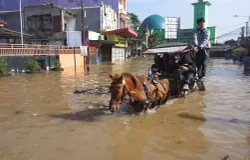 Warga memanfaatkan delman untuk melintasi jalan permukiman yang terendam banjir, saat akses kendaraan bermotor terganggu akibat genangan air. (Sumber: Dokumentasi Warga | Foto: Dokumentasi Warga)