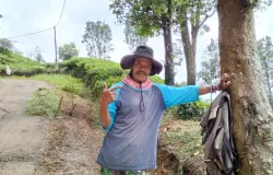 Mang Yaya, petani kopi tangguh dari Desa Lebak Muncang, Ciwidey—penjaga kualitas dan tradisi kopi terbaik yang menembus hingga mancanegara. (Sumber: Cantika Putri S.)