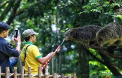Pengunjung berwisata saat libur lebaran di Bandung Zoo, Jalan Tamansari, Kota Bandung, Kamis 11 April 2024. (Sumber: ayobandung.id | Foto: Irfan Al-Faritsi)