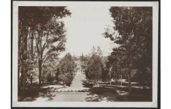 Taman Jubileumpark (Sumber: (Sumber: Digital Collection KITLV Universiteit Leiden))