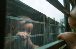 Ilustrasi. (Sumber: Unsplash | Foto: md rifat)