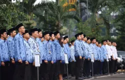 Ilustrasi ASN. (Sumber: menpan.go.id)